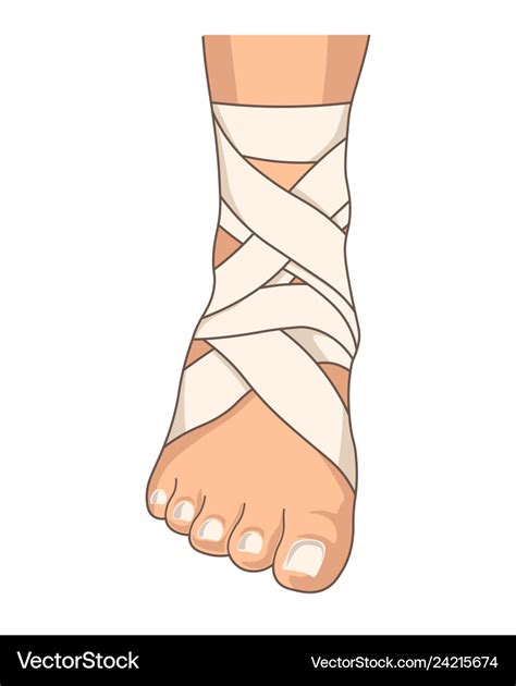 Foot Bandage Ankle Stretching Bandaging Isolated Vector Image