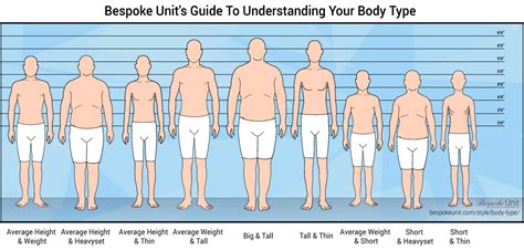Main Male Body Types How To Tell Them Apart Atelier Yuwaciaojp