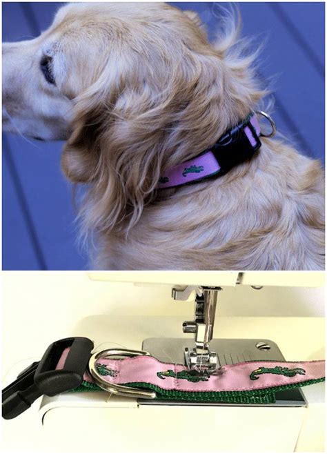 25 Personalized Diy Dog Collar Ideas To Make Your Own 2022