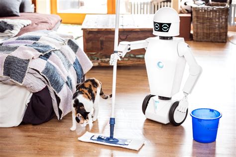 5 Robots Domésticos Que Cambiarán El Futuro El Mundo