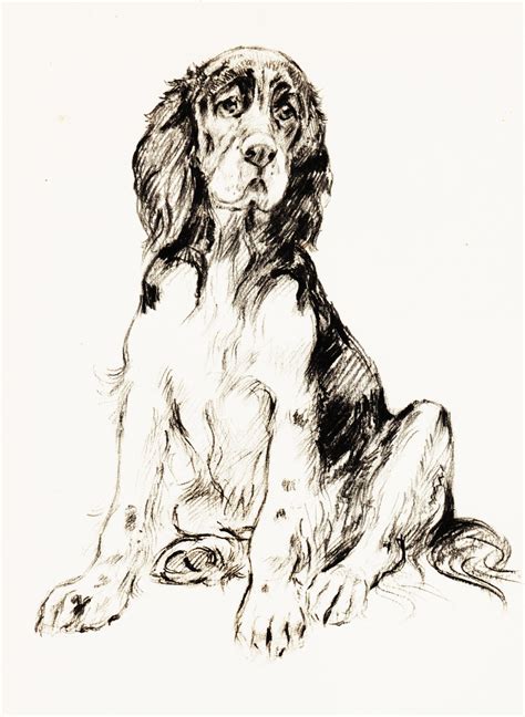 Vintage Dog Art Illustration Black And White Dog Drawing Etsy