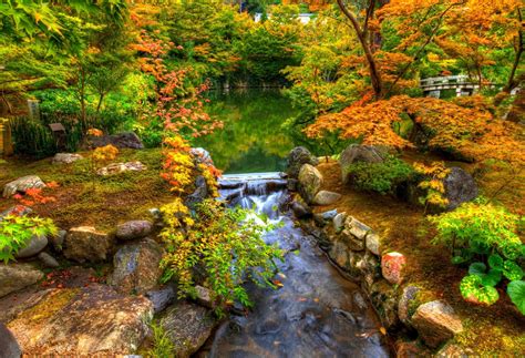Pond In Autumn Park Image Id 288785 Image Abyss