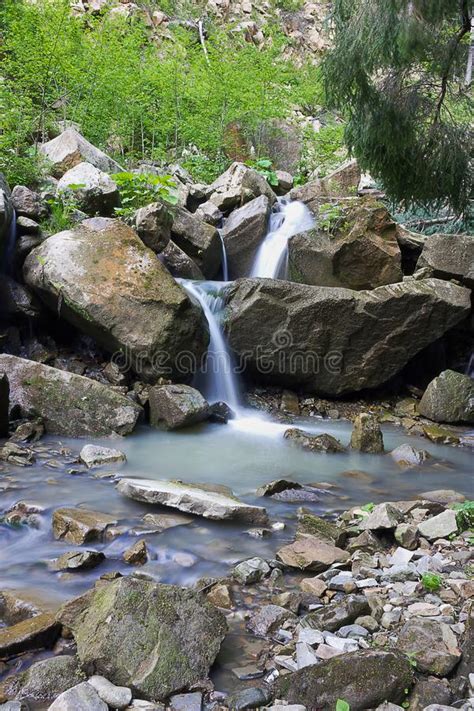 Mountain Forest Creek Stock Photo Image Of Waterfall 127101834