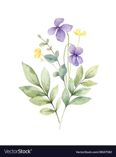 Watercolor Bouquet With Wildflower Royalty Free Vector Image