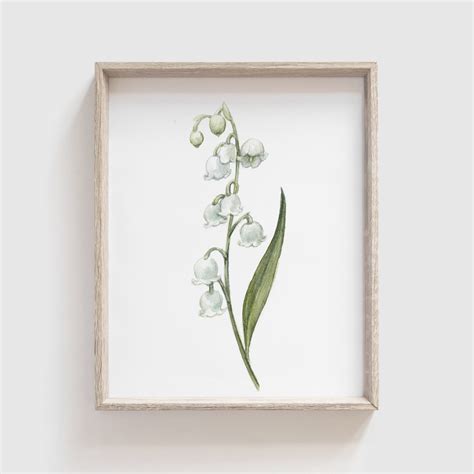 Lily Of The Valley Flower Art Print Flowers Florals Etsy