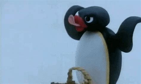 Pingu S Find And Share On Giphy