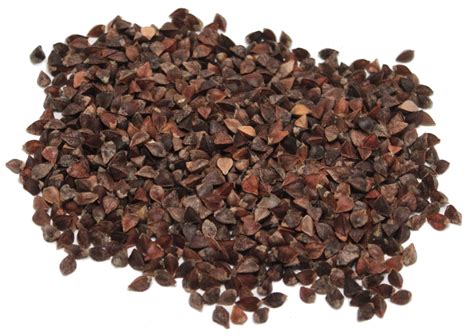 Organic Buckwheat Seed Things For Wings Canadas Online Bird Super