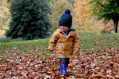 Free Images Forest Outdoor Walking People Leaf Fall Cute Young