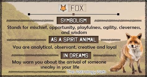Fox Symbolism Spirit Animal Dream Spirit Animal Fox Spirit Animal