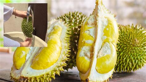 Cara efektif putihkan kulit dengan lemon. Selain Basuh Tangan Guna Kulit Durian, Ini Cara Lain Nak ...