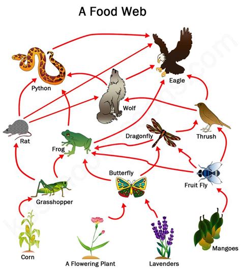 Check spelling or type a new query. Our Environment Class 10 Science Chapter Notes ...