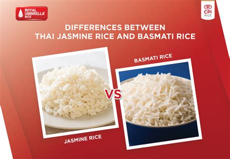 Differences Between Thai Jasmine Rice And Basmati Rice