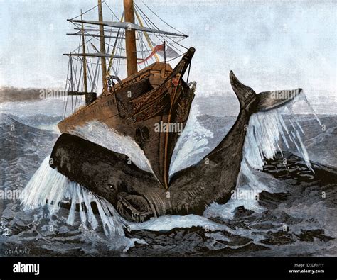 The Essex Sperm Whale Telegraph