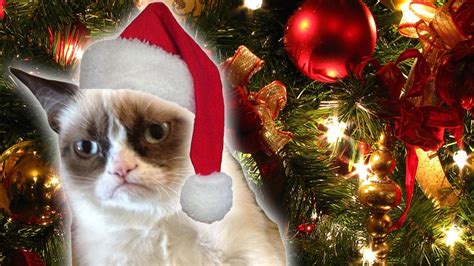 Grumpy Cats Worst Christmas Ever Trailer Daily Rehash