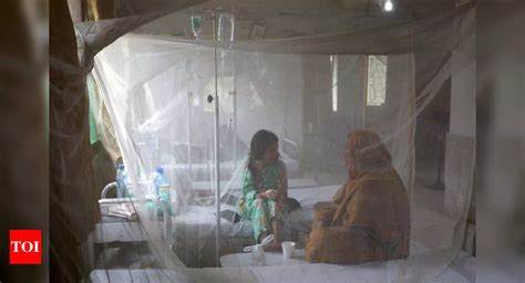 Malaria And Diseases Spreading Fast In Flood Hit Pakistan Times Of India