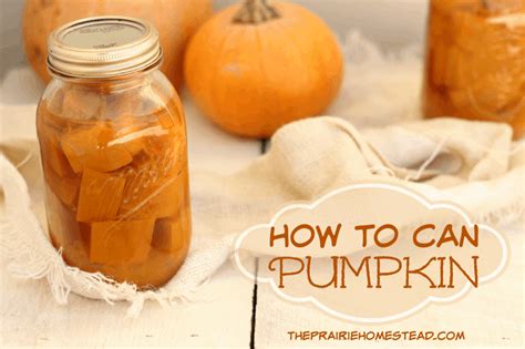 Canning Pumpkin How To Make Home Canned Pumpkin Prepper World