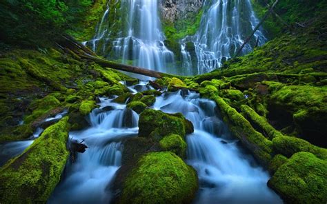 Forest Cascades Wallpapers Wallpaper Cave