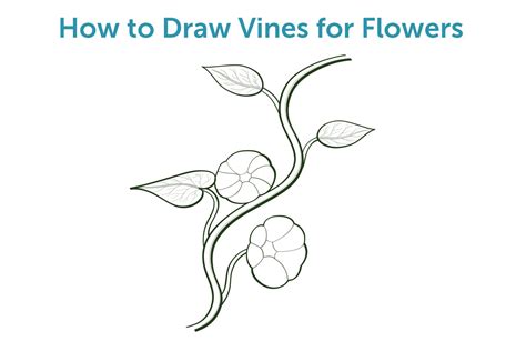 How To Draw Vines For Flowers With Pictures Ehow