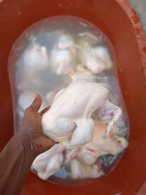 Alimentation Poulet de chair au Sénégal CoinAfrique Sénégal