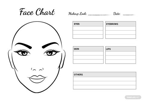 Blank Face Chart In Illustrator Pdf Download