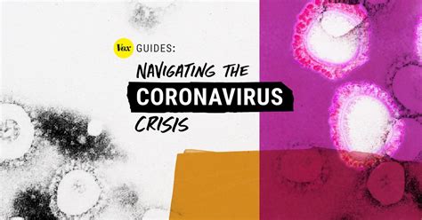 Coronavirus The Vox Guide To Navigating The Covid 19 Crisis Vox