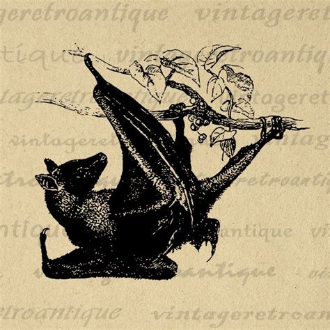 Flying Fox Bat Printable Image Graphic Illustration Download Digital