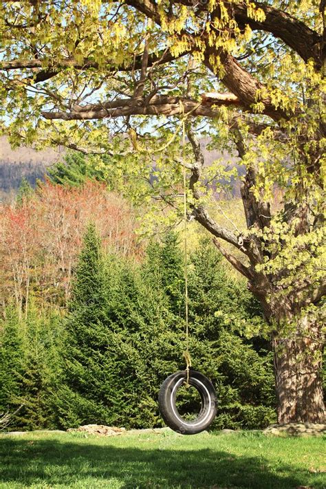 Tire Swing — Stock Photo © Pinkcandy 28253377