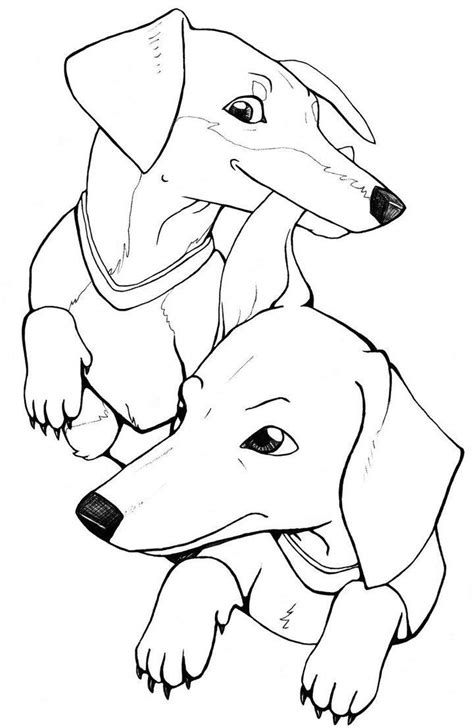 Dachshund Coloring Pages Adult Sketch Coloring Page