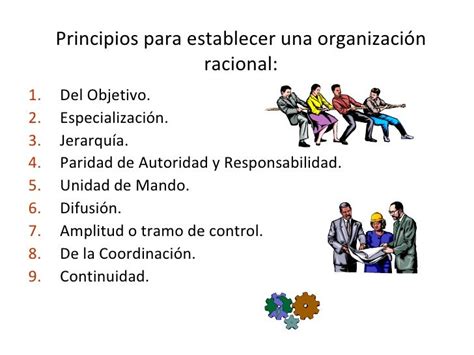 Principios De La Organizacion