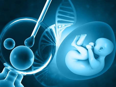 Status Of Frozen Embryos In In Vitro Fertilization The Womb