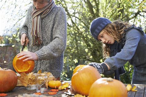 Children Carving Pumpkins Together Outdoors Stock Photo