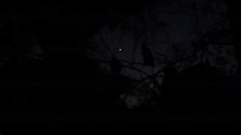 Bright Light In The Western Sky In Southeast Texas Star