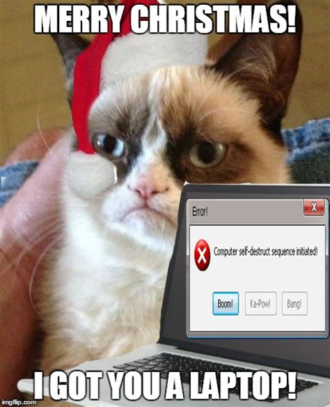 Grumpy Cat Meme Christmas Photos Cantik