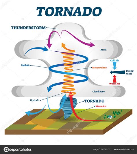 Tornado Vector Illustration Labeled Educational Wind Vortex