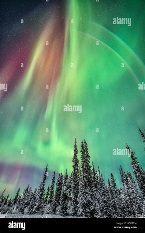 Northern Lights Yukon Canada Stock Photo Alamy