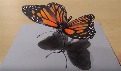How to draw peacock drawing step by step gali gali art. how to draw a butterfly 3D with this how-to video and step ...