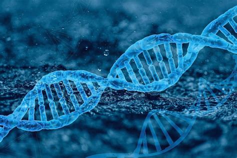 Secuenciar El Genoma De La Tierra Para Conservar El Legado Genético