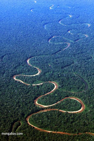 Amazon Rainforest From Above Amazon Rainforest Rainforest Wonders