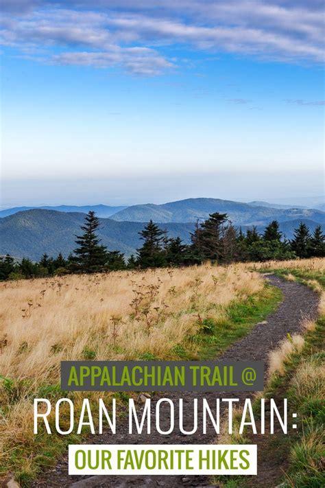 Roan Mountain Hiking Guide Top Hikes In The Roan Highlands And To Roan