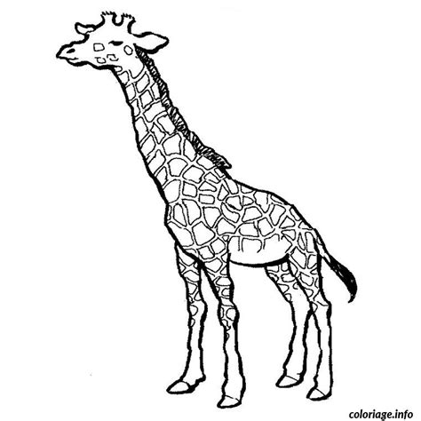 Coloriage Girafe Dessin Animaux à Imprimer