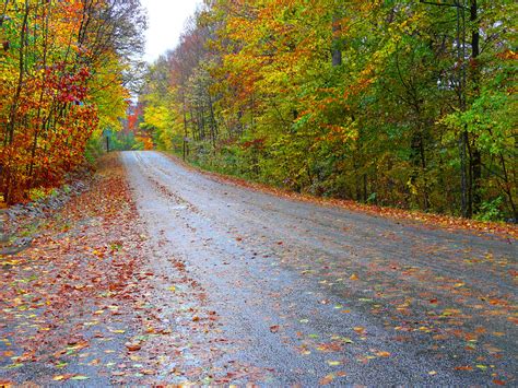 Fall Road Hazards In Prince William County