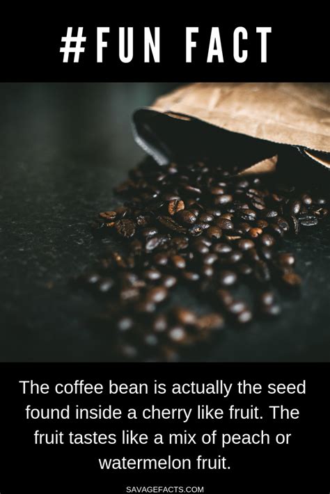 Fun Facts About Coffee With Images Coffee Facts Coffee Quotes