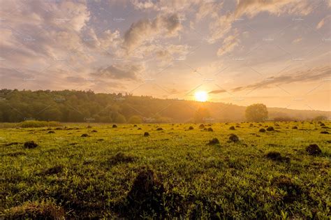 Sunset In A Field With Grass Stock Photo Containing Field And Sunset