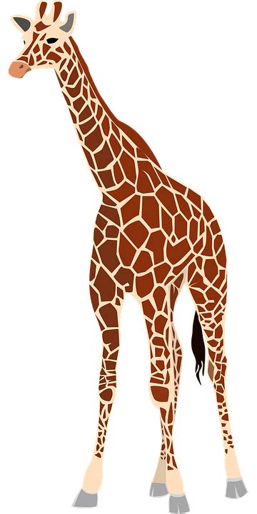 Baby Giraffes Drawing Clip Art Giraffehd Png Download 360720