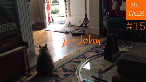 Moments later my local rep from invisible fence called back and said. Episode 15: John the sneaky cat with Invisible Fence and ...