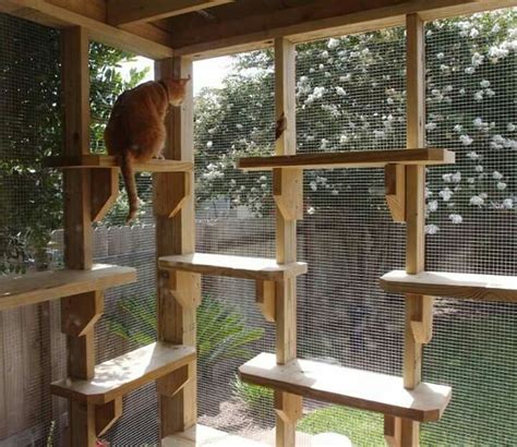 Diy Outdoor Cat Enclosure For Winter Another Awesome Outdoor Cat