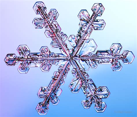 100 Snowflake Photos by Mark Cassino