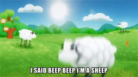 This Is What Beep Beep Like A Sheep Song Youtube
