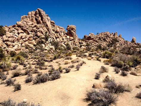 Hiking In Joshua Tree National Park 6 Incredible Trails The Unending