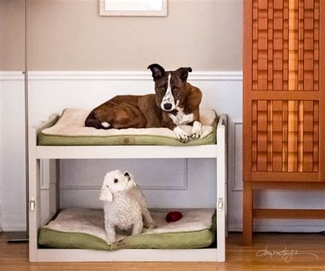 Diy Dog Bunk Beds 8 Steps With Pictures Instructables